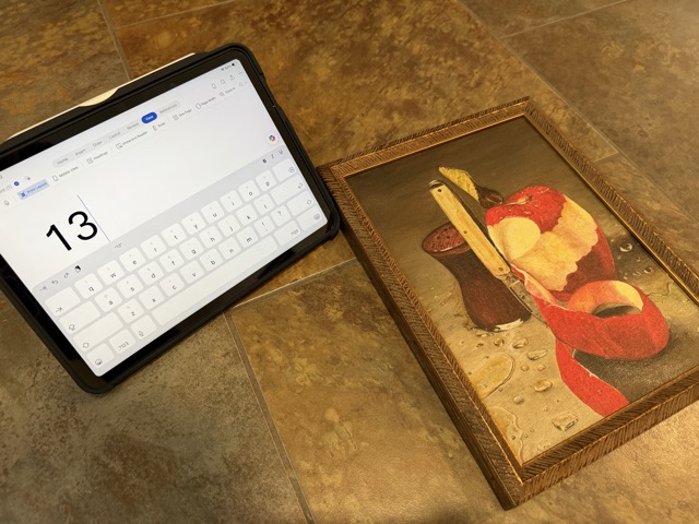 Item 13 — Alternate view